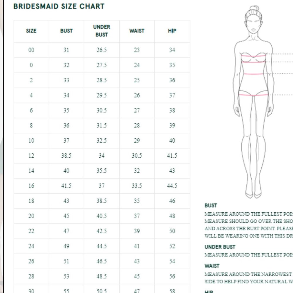 Ruby Chiffon Spaghetti Strap Gown Style Bella/Gb0… - image 3